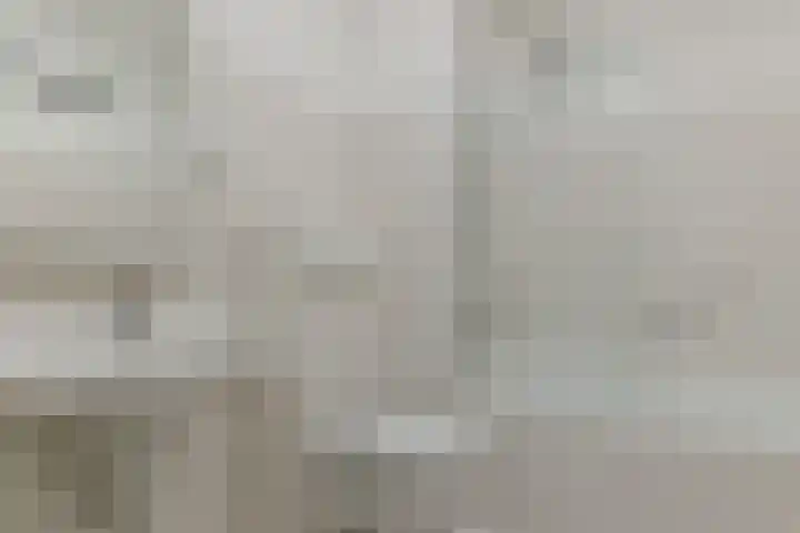 Tesselschadelaan 3 Roosendaal thumbnail 30