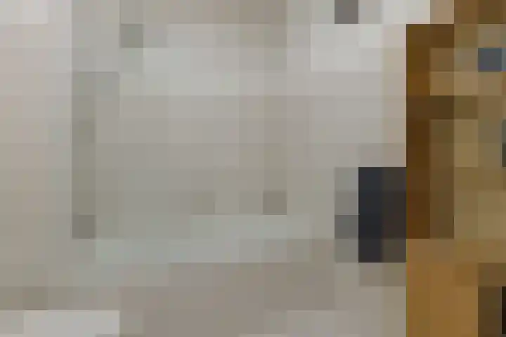 Tesselschadelaan 3 Roosendaal thumbnail 31