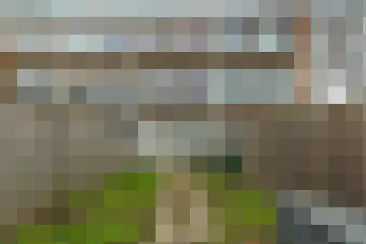 Tesselschadelaan 3 Roosendaal thumbnail 33