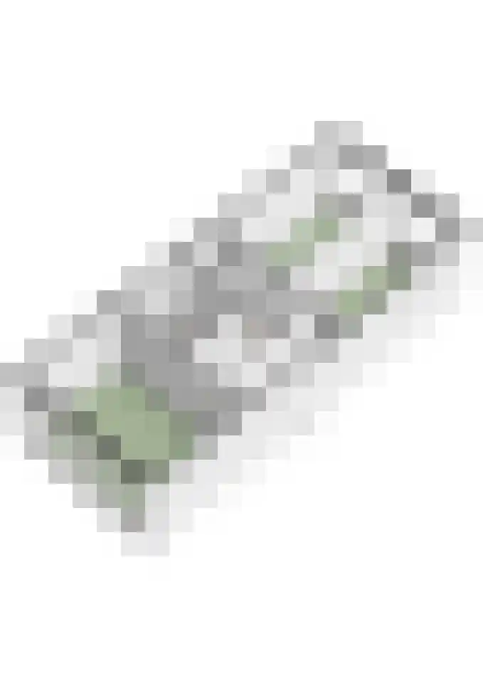 Tesselschadelaan 3 Roosendaal thumbnail 41