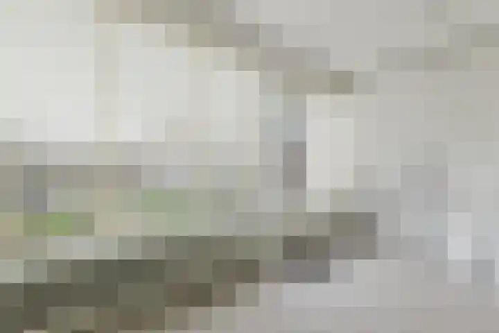 Tesselschadelaan 3 Roosendaal thumbnail 5