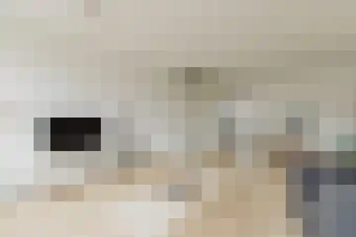 Tesselschadelaan 3 Roosendaal thumbnail 9