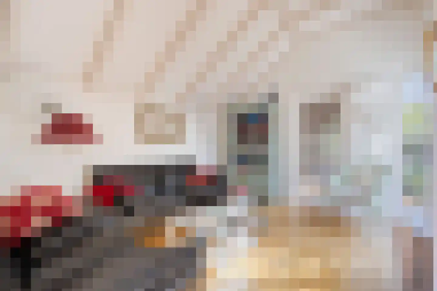 Tesselschadelaan 30 Muiderberg thumbnail 10