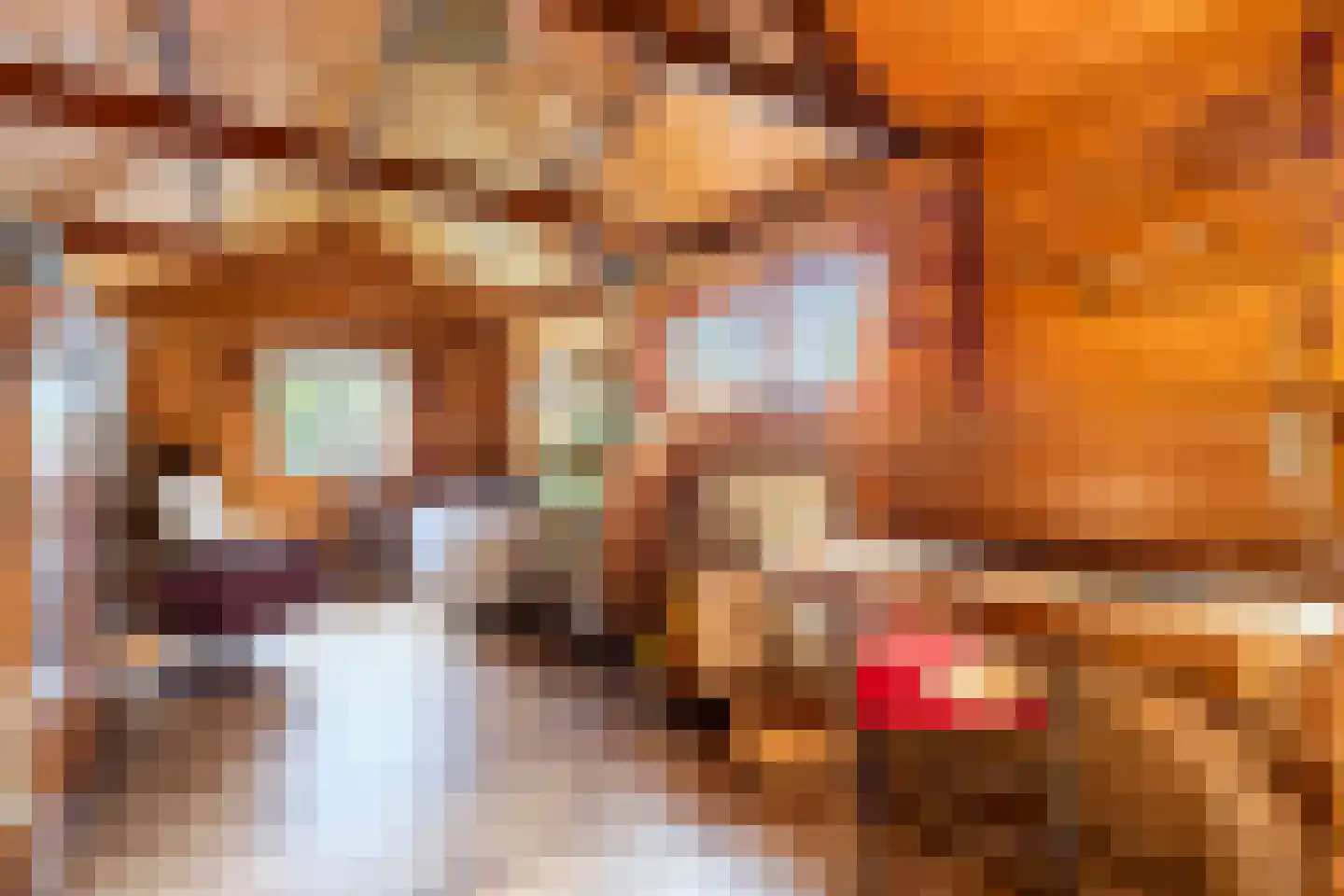 Tesselschadelaan 30 Muiderberg thumbnail 13