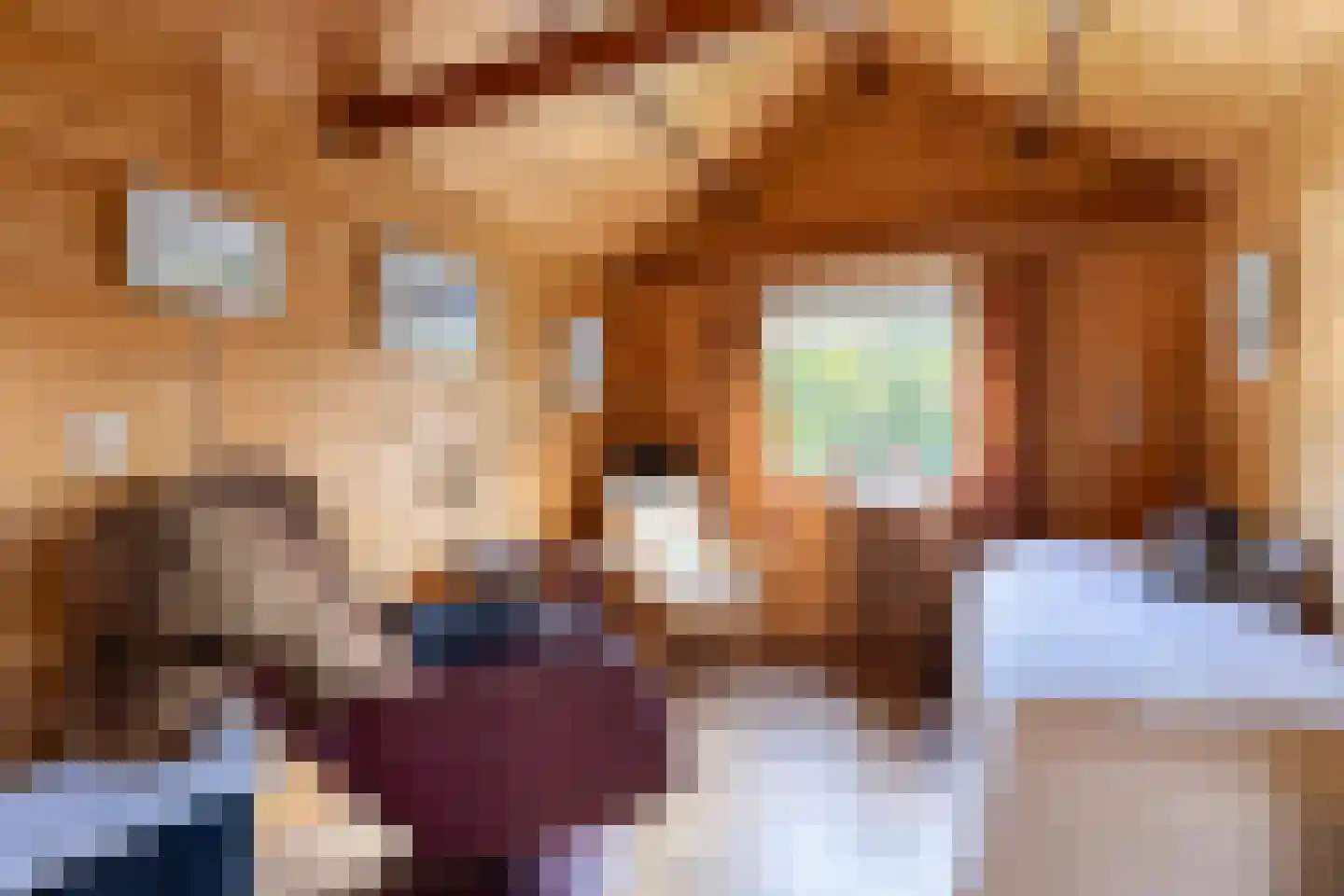 Tesselschadelaan 30 Muiderberg thumbnail 14