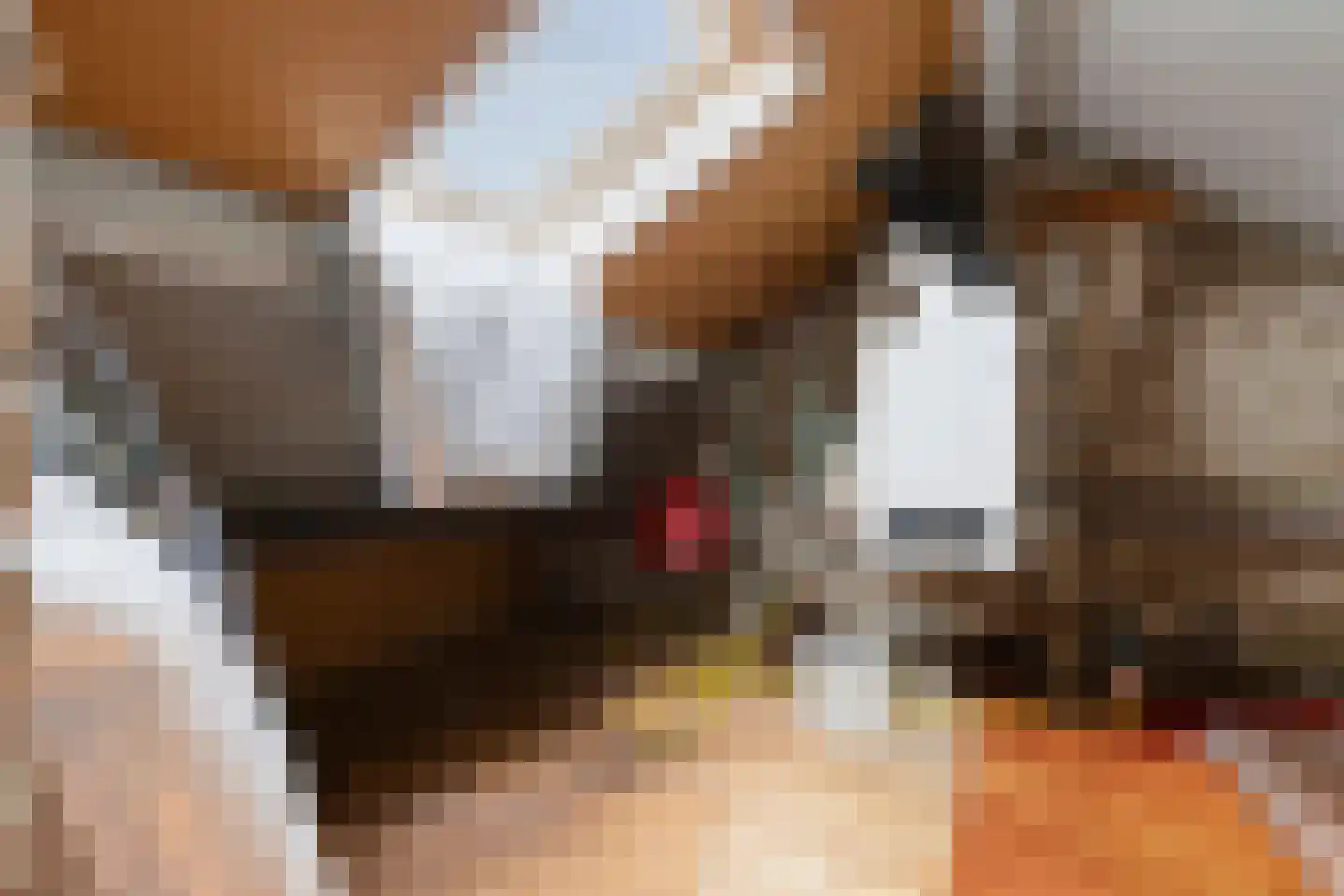 Tesselschadelaan 30 Muiderberg thumbnail 31