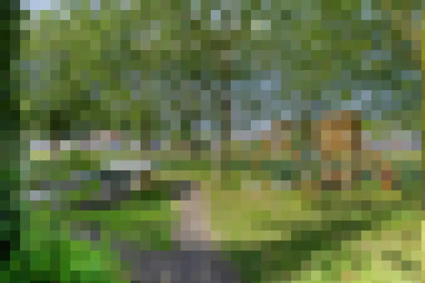 Tesselschadelaan 30 Muiderberg thumbnail 33