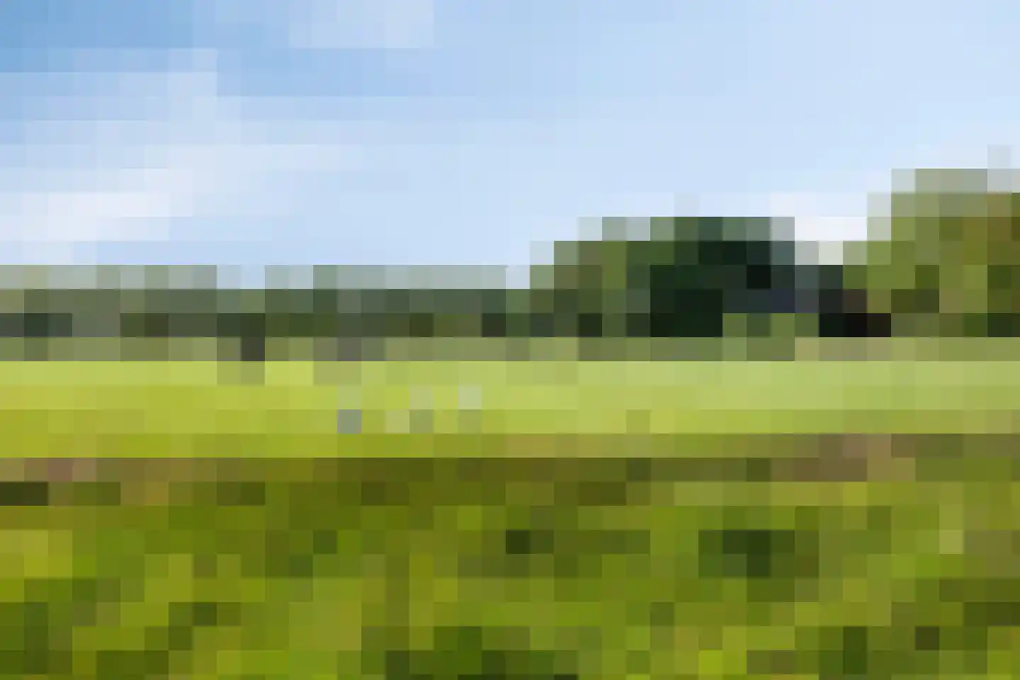 Tesselschadelaan 30 Muiderberg thumbnail 34