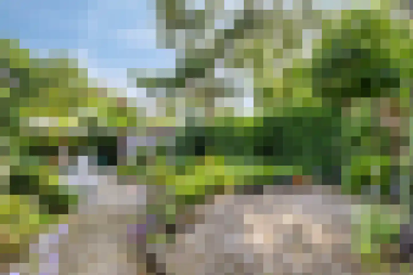 Tesselschadelaan 30 Muiderberg thumbnail 4