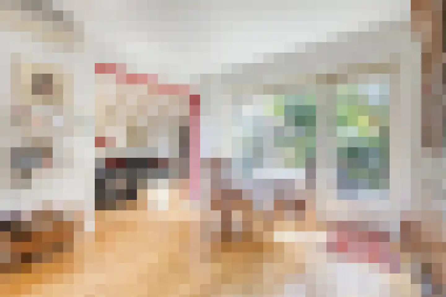 Tesselschadelaan 30 Muiderberg thumbnail 9