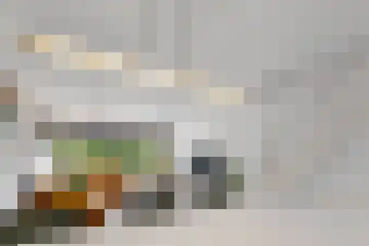 Tesselschadelaan 30 Roosendaal thumbnail 10