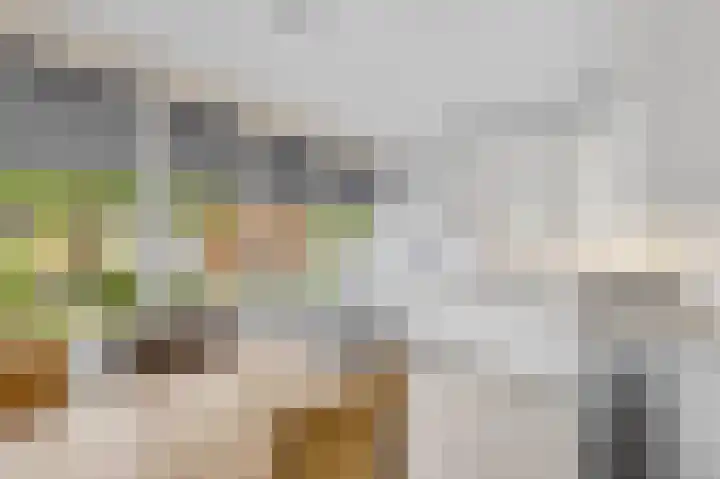 Tesselschadelaan 30 Roosendaal thumbnail 14