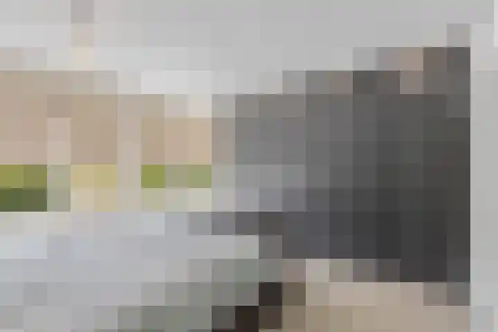 Tesselschadelaan 30 Roosendaal thumbnail 18