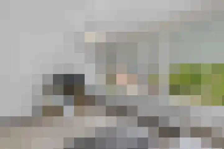 Tesselschadelaan 30 Roosendaal thumbnail 22