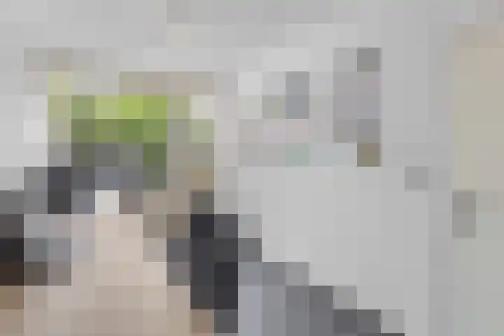 Tesselschadelaan 30 Roosendaal thumbnail 26