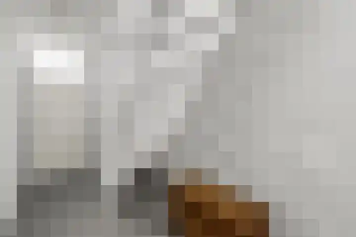 Tesselschadelaan 30 Roosendaal thumbnail 31