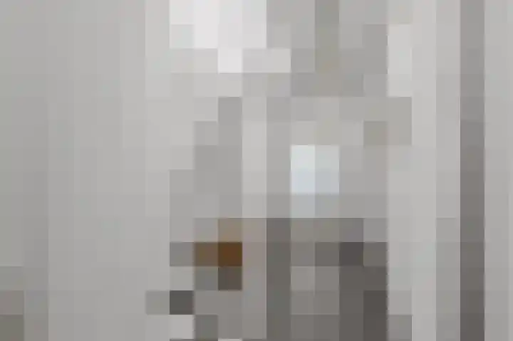 Tesselschadelaan 30 Roosendaal thumbnail 32