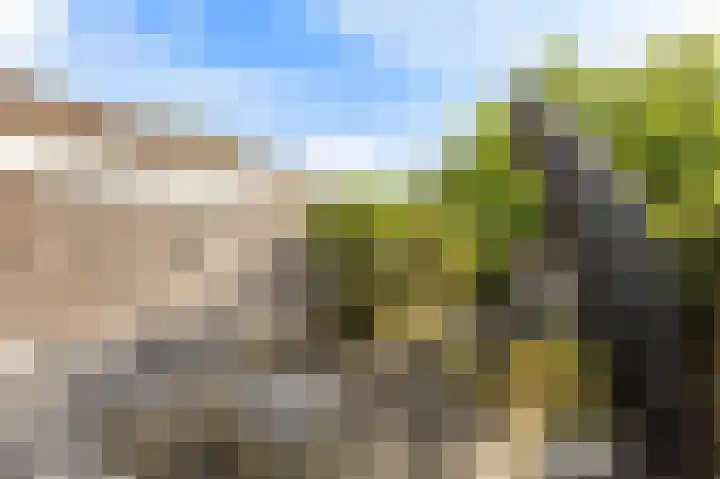 Tesselschadelaan 30 Roosendaal thumbnail 35