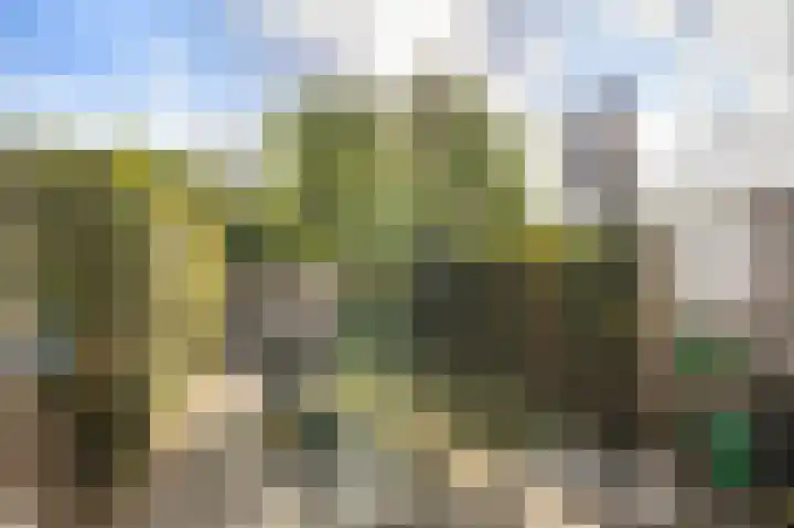 Tesselschadelaan 30 Roosendaal thumbnail 36