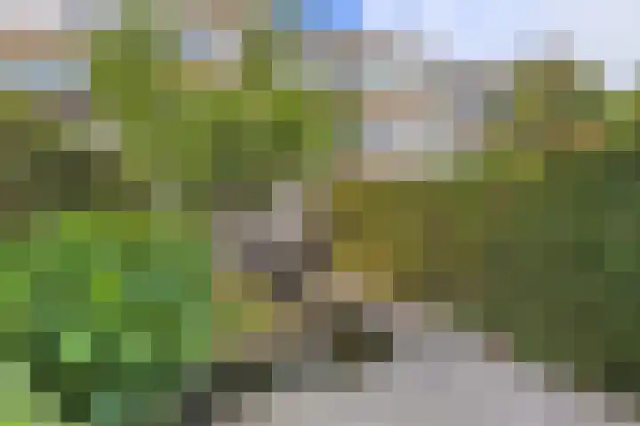 Tesselschadelaan 30 Roosendaal thumbnail 39