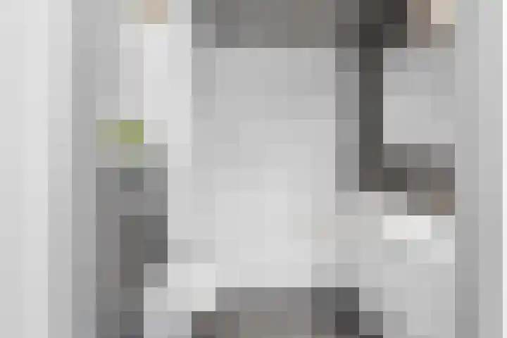 Tesselschadelaan 30 Roosendaal thumbnail 4