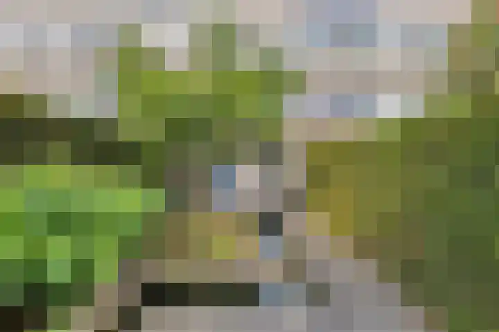 Tesselschadelaan 30 Roosendaal thumbnail 40