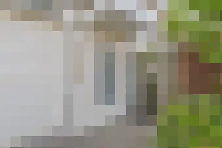 Tesselschadelaan 30 Roosendaal thumbnail 41