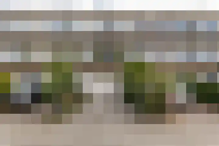 Tesselschadelaan 30 Roosendaal thumbnail 43