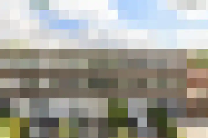 Tesselschadelaan 30 Roosendaal thumbnail 44