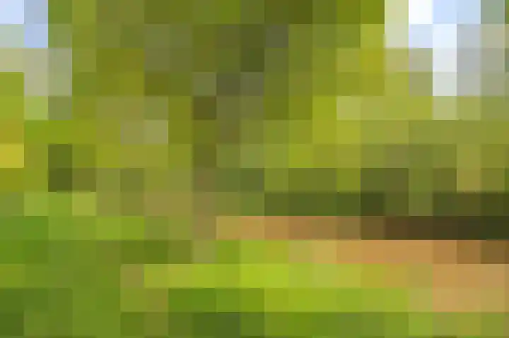 Tesselschadelaan 30 Roosendaal thumbnail 47