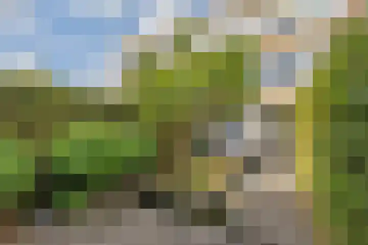 Tesselschadelaan 30 Roosendaal thumbnail 57