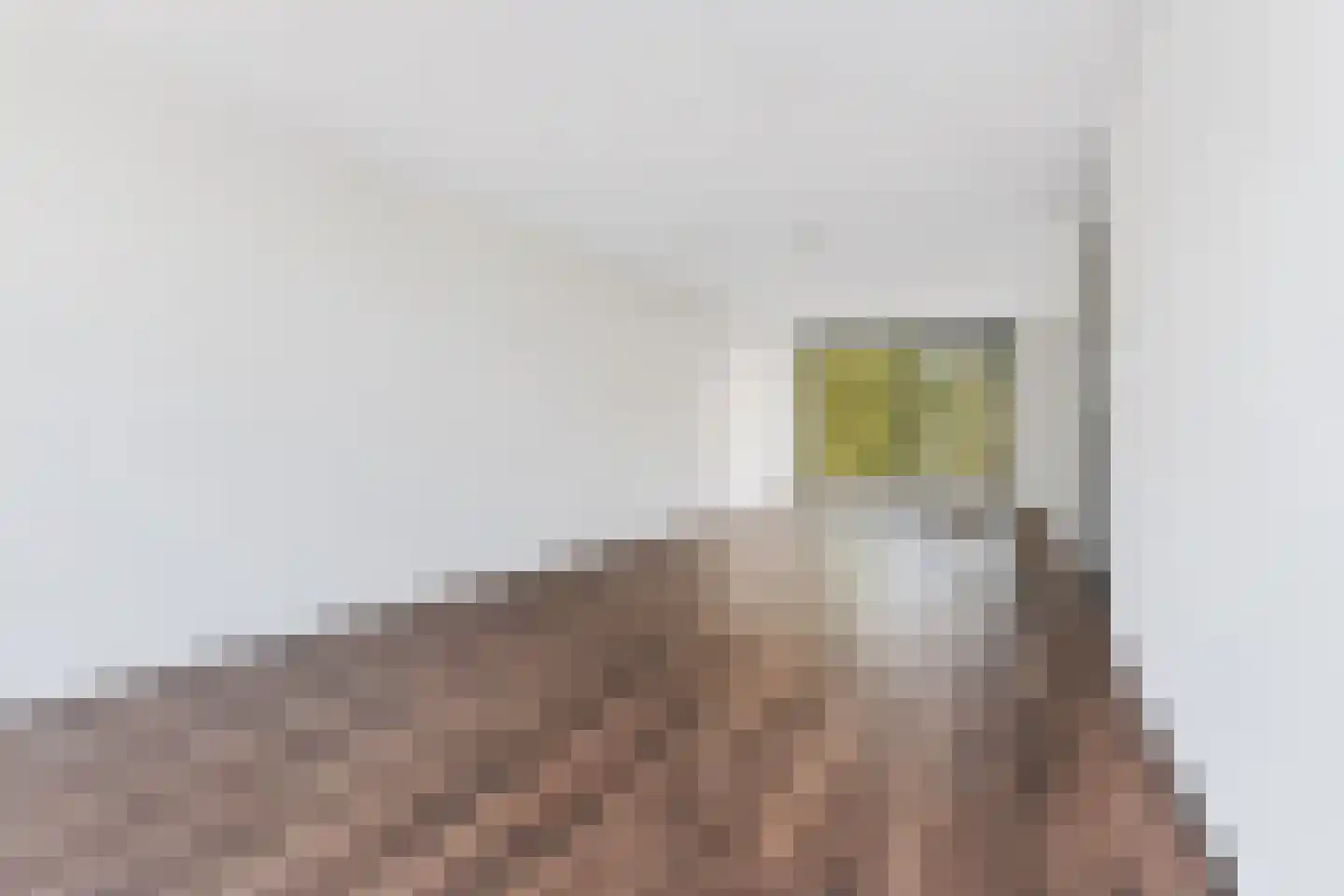 Tesselschadelaan 32 Eindhoven thumbnail 16