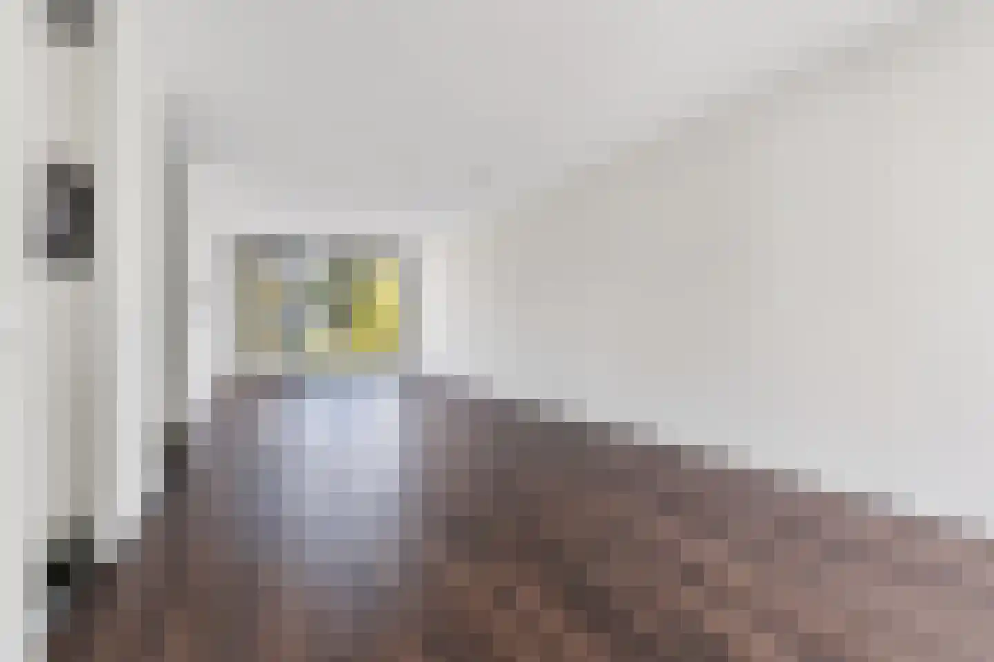 Tesselschadelaan 32 Eindhoven thumbnail 20