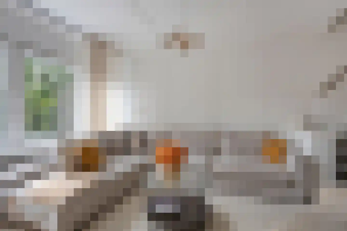 Tesselschadelaan 37 Roosendaal thumbnail 15