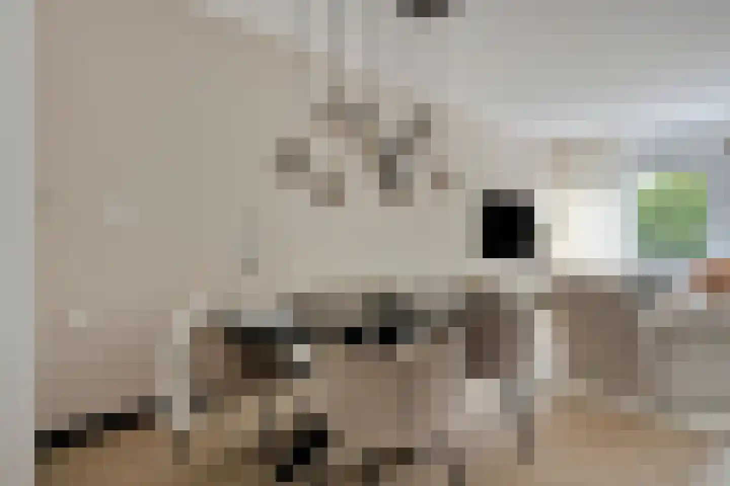 Tesselschadelaan 37 Roosendaal thumbnail 20