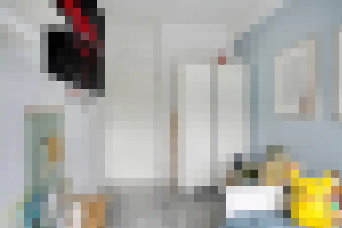 Tesselschadelaan 37 Roosendaal thumbnail 32