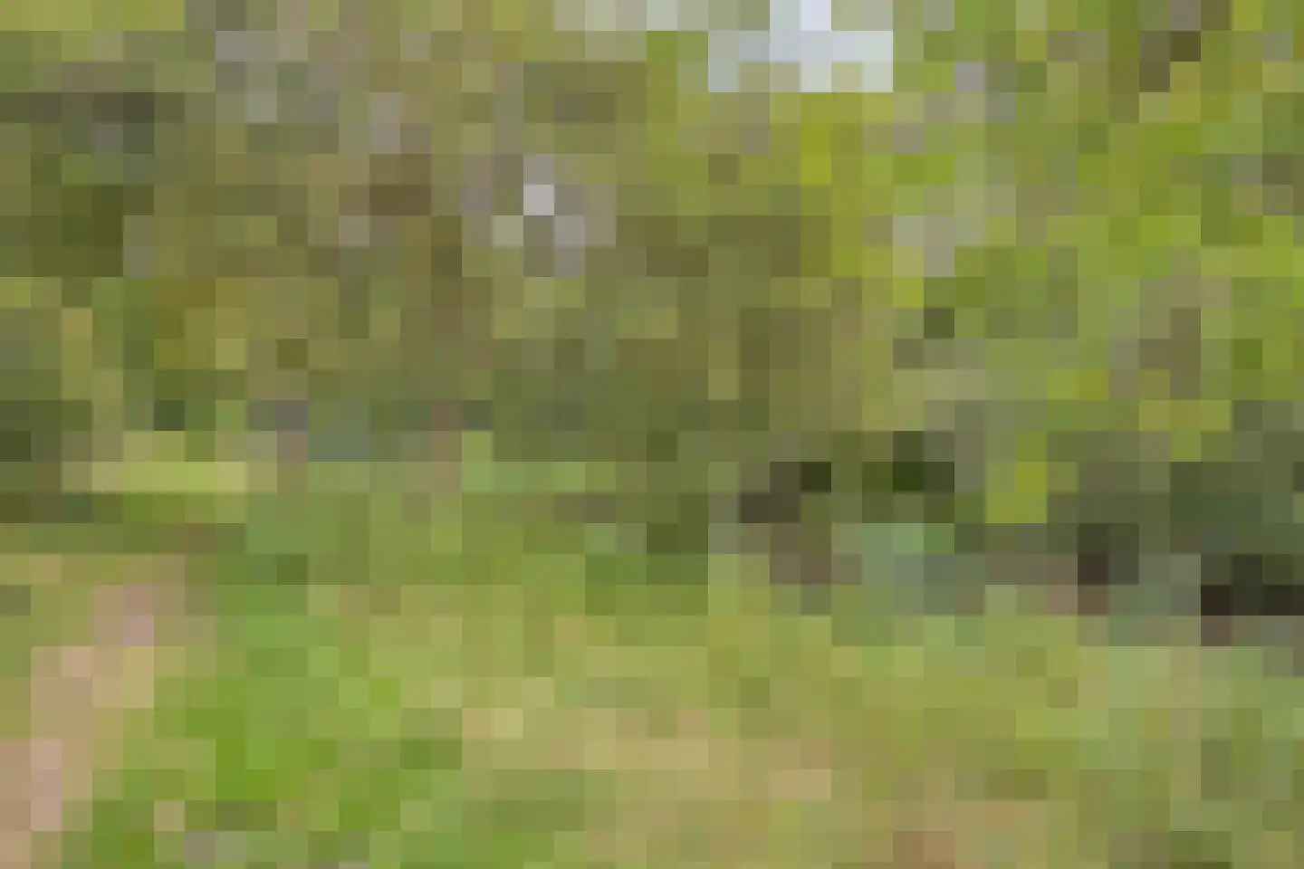 Tesselschadelaan 37 Roosendaal thumbnail 36