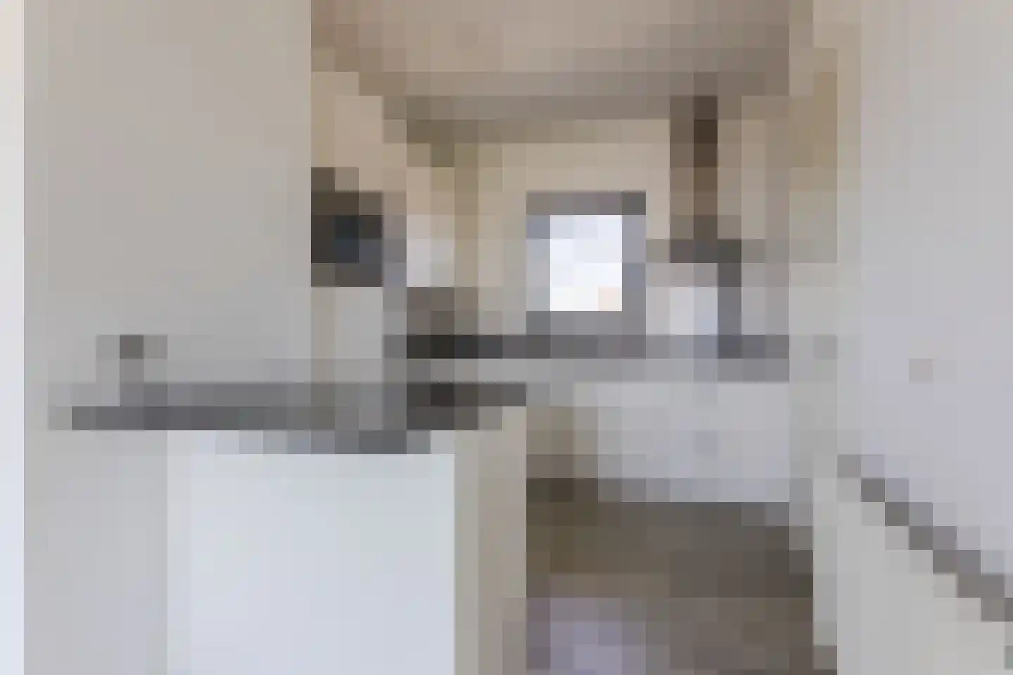 Tesselschadelaan 38 Eindhoven thumbnail 14