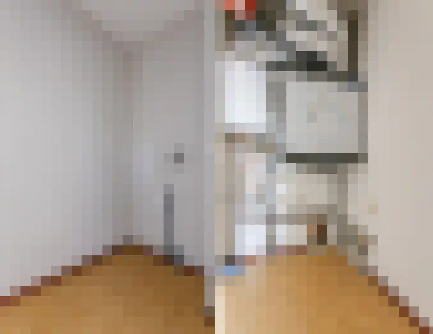 Tesselschadelaan 38 Eindhoven thumbnail 17