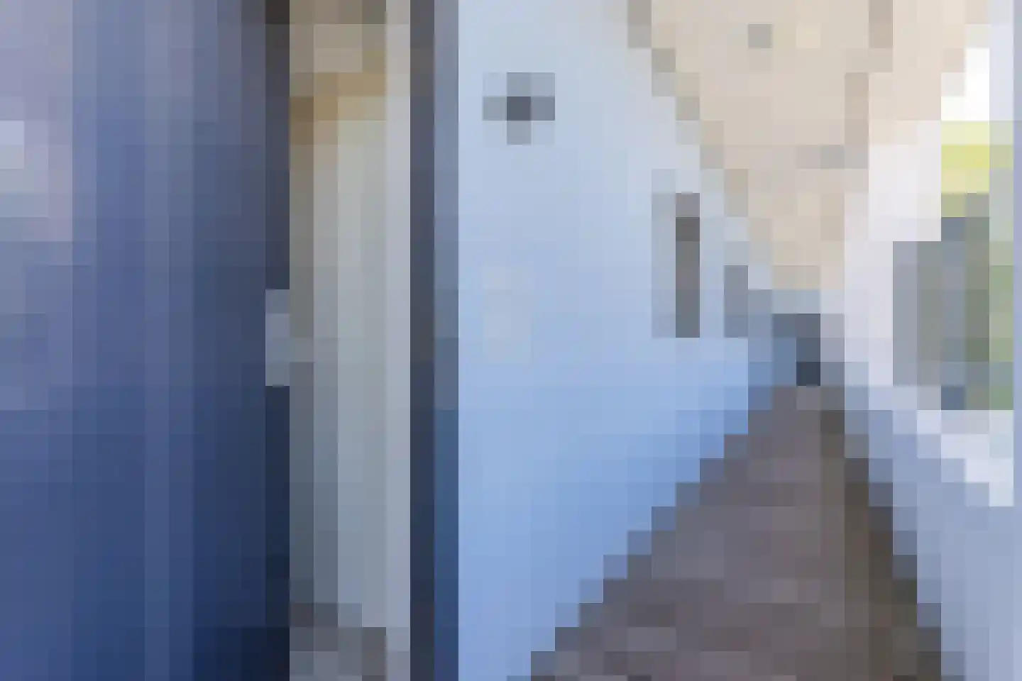 Tesselschadelaan 38 Eindhoven thumbnail 8