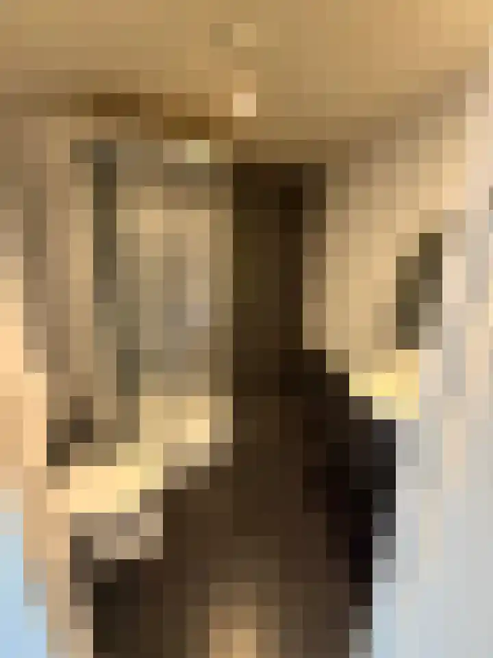 Tesselschadelaan 5 Roosendaal thumbnail 17