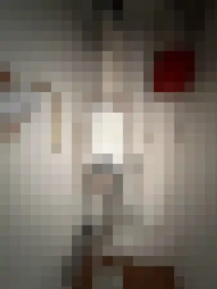 Tesselschadelaan 5 Roosendaal thumbnail 20