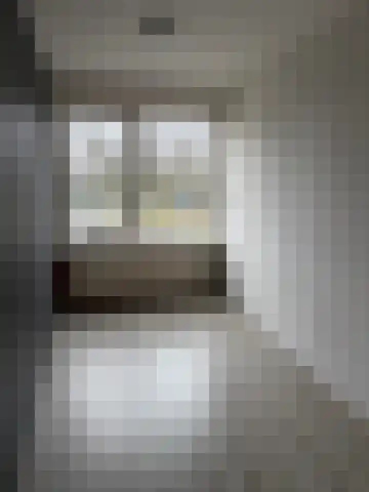 Tesselschadelaan 5 Roosendaal thumbnail 22