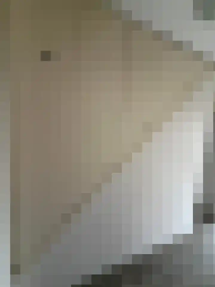 Tesselschadelaan 5 Roosendaal thumbnail 23