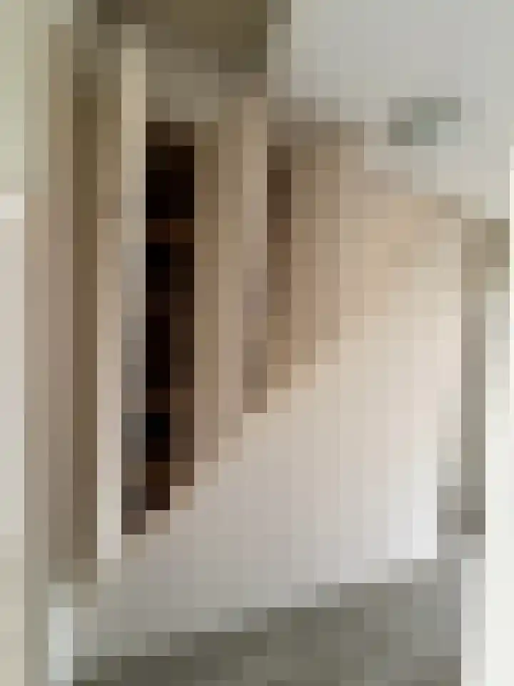 Tesselschadelaan 5 Roosendaal thumbnail 24