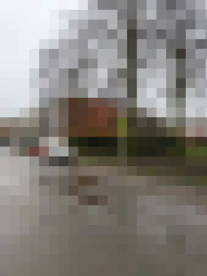 Tesselschadelaan 5 Roosendaal thumbnail 26