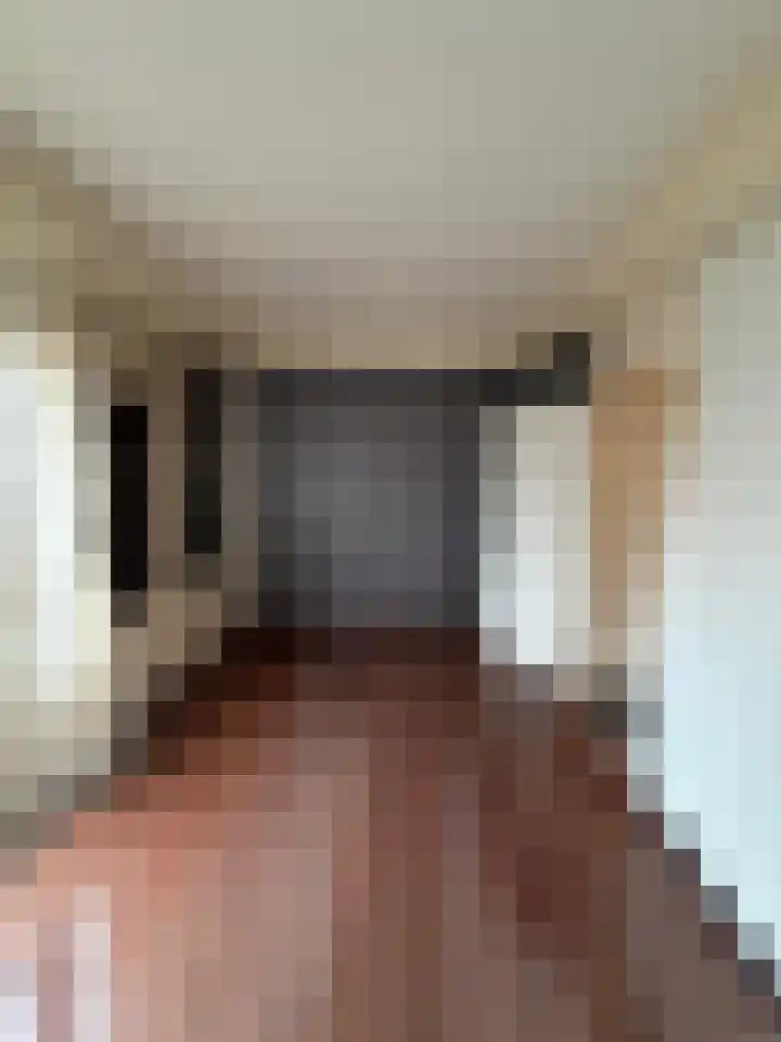 Tesselschadelaan 5 Roosendaal thumbnail 4