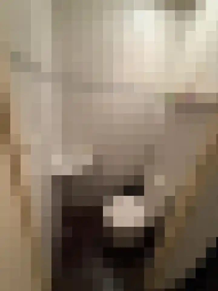 Tesselschadelaan 5 Roosendaal thumbnail 5