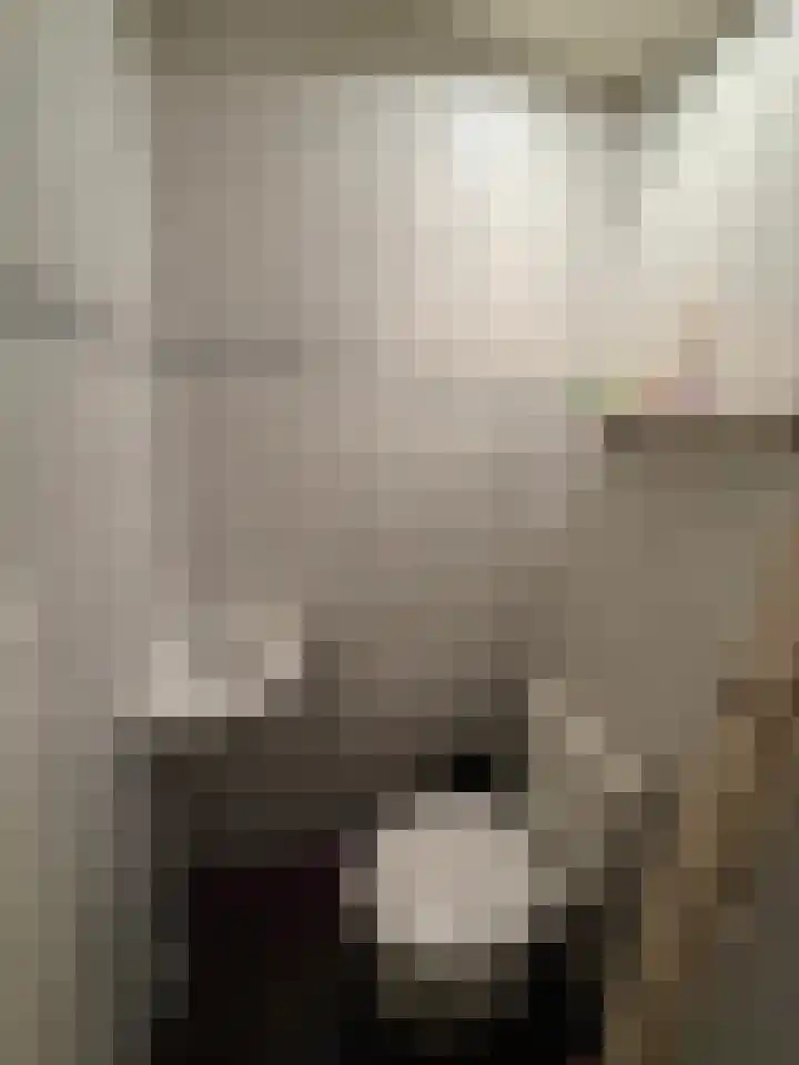 Tesselschadelaan 5 Roosendaal thumbnail 6