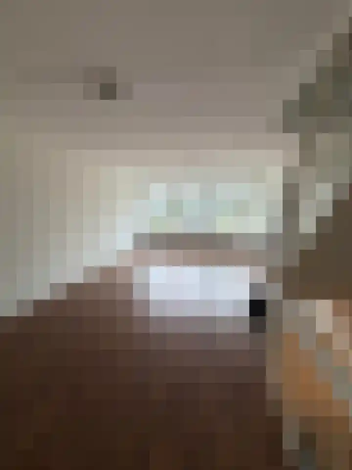Tesselschadelaan 5 Roosendaal thumbnail 7